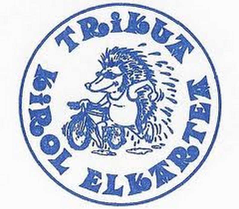 Triatl&oacute;n de Arizaleku 2011